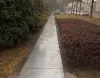 Compound Steel Grating
