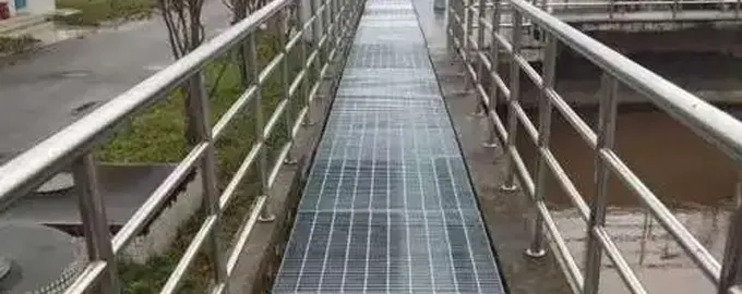 Drain Cover